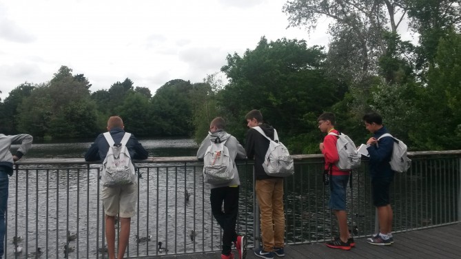 Estudiantes en Dublin Zoo