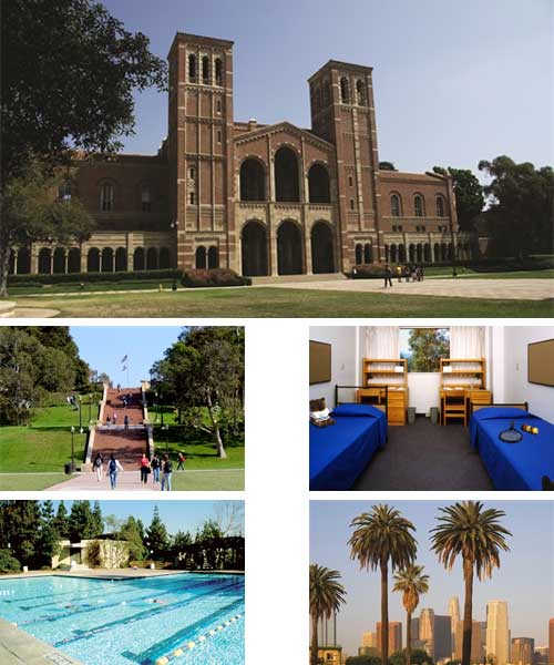 las partes individuales de los ángeles las partes individuales de los ángeles