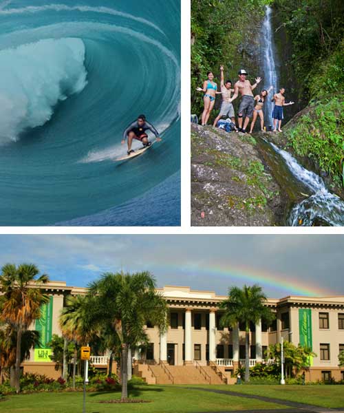 Cursos de inglés y surf en Hawaii