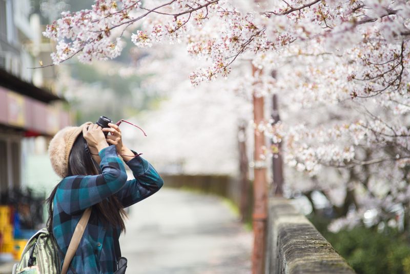 vivir en japón y estudiar japonés