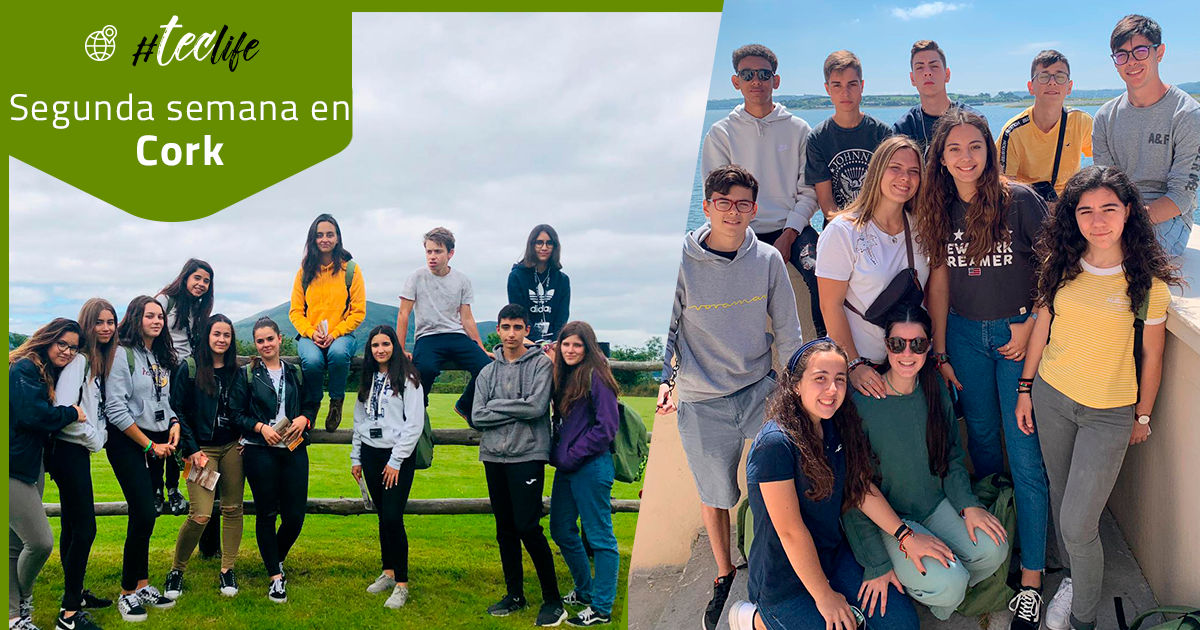 segunda semana teclife2019 cork